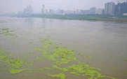 Aside_phosphorous_pollution_2