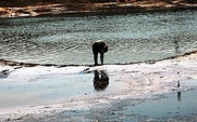 Aside_water_pollution_cancer_village_china_large