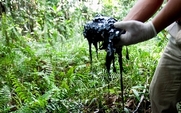 Aside_ecuador_oil_spill_1_large