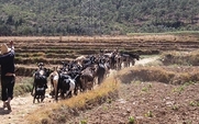 Aside_drought_china2_large
