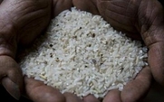 Aside_rice2_large