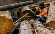 Aside_sichuan_deforestation2
