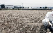 Aside_fukushima_nuclear_radiation_test