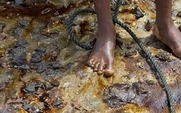 Aside_426_niger_unep