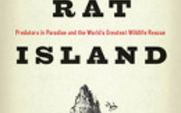 Aside_rat_island_image