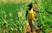 Aside_426_africa_agri
