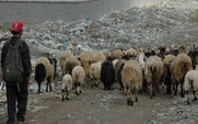 Aside_426_sanjiangyuan