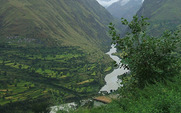 Aside_a_yam_between_two_rocks_426