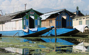 Aside_426_kishmiar_rubbish