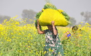 Aside_india_ladyinfield_426