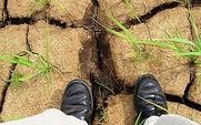 Aside_drought_grass_426