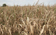 Aside_426_us_drought