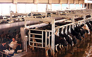 Aside_426_china_s_milk