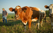 Aside_426_organic_valley
