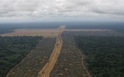 Aside_426_upper_amazon-10years-07