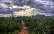 Aside_death_toll_of_forest_activists_grows_in_cambodia