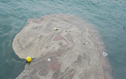 Aside_waterpollution