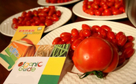 Index_main_organic_food