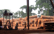 Aside_logging_in_congo