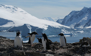 Aside_antarctica