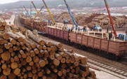 Aside_logging