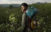 Aside_cotton-farmer-spraying___