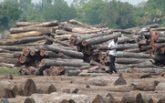 Aside_logs