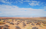 Index_desert