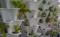 Index_urban_farming