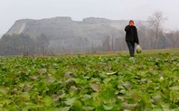 Index_field_man