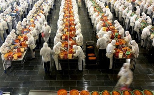 Sidebar_foodsafety