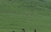 Aside_grasslandshome