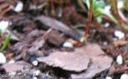 Aside_soil1