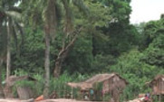 Aside_congo2