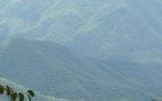 Aside_china_forests