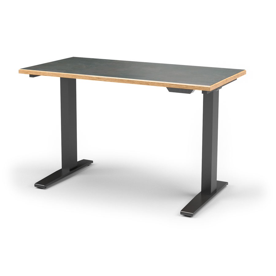 Wildwood Electric Adjustable Desk / Workstation, 48