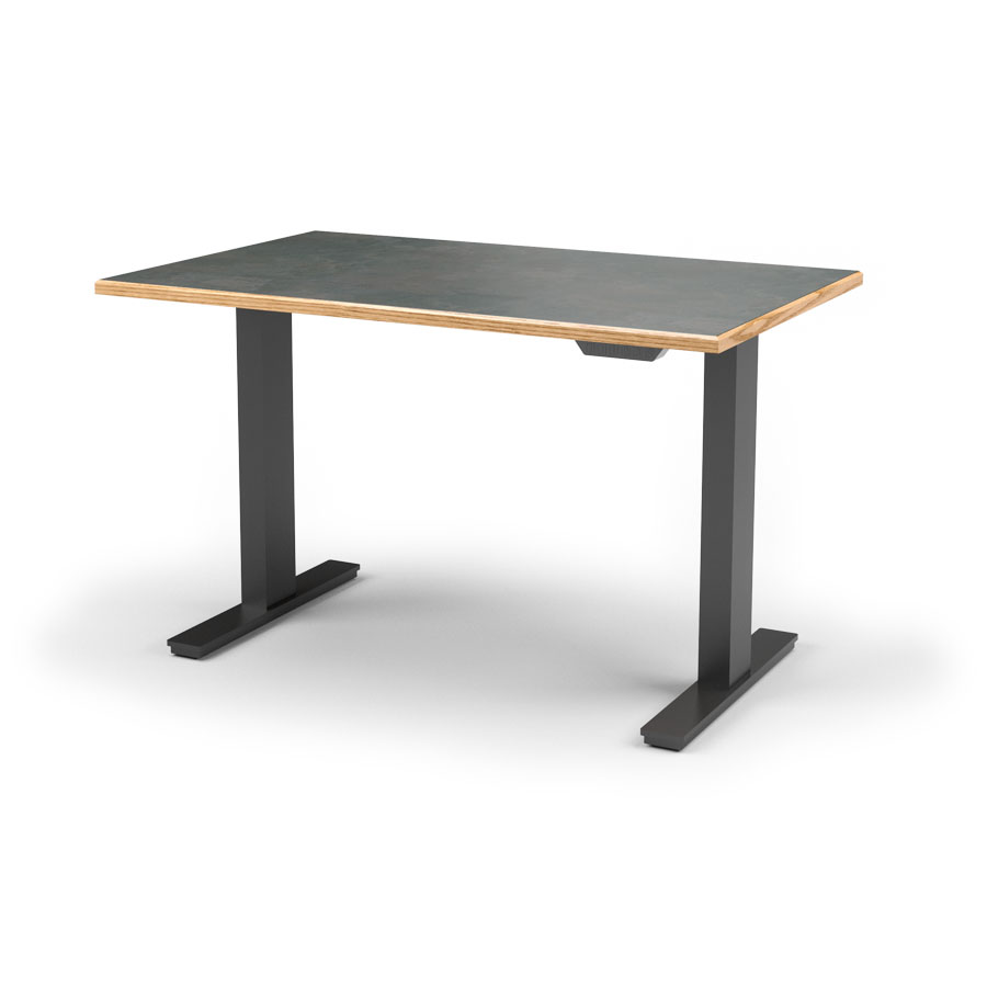 Wildwood Electric Adjustable Desk / Workstation, 48"x24" Wildwood Electric Adjustable Desk / Workstation, 48"x24"