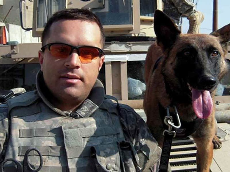 K9 reunited 2