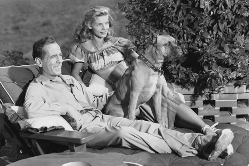 bacall boxer