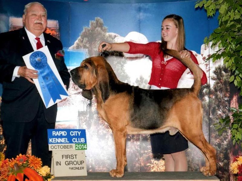 Practicing Your “Ta-Da”: Tips from a Young Dog Show Exhibitor
