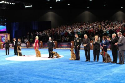 2013 ACE awards presentation at the AKC Eukanuba National Championship, Orlando, FL.