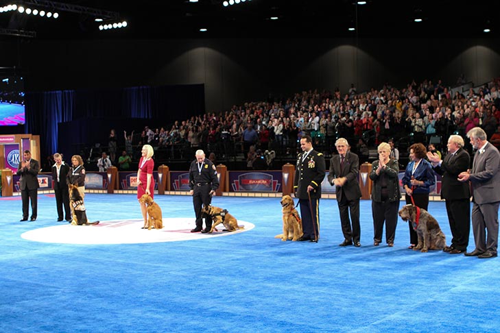 2013 ACE awards presentation at the AKC Eukanuba National Championship, Orlando, FL.