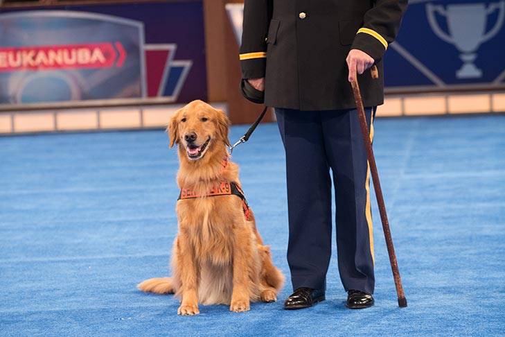 Service Dog: “Tuesday,” a Golden Retriever owned by Capt. Luis Carlos Montalván.