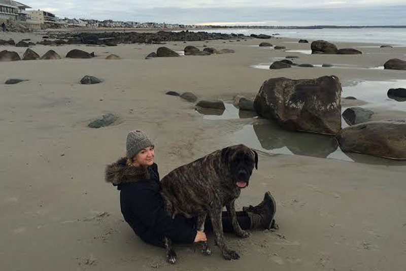 bucket list dog
