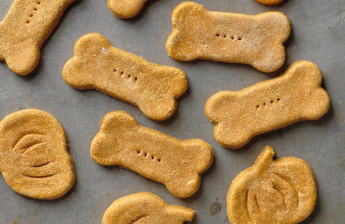 canned pumpkin dog treats