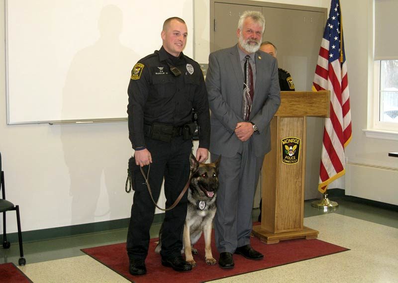 Murphy German Shepherd Dog