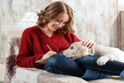 Puppy vulnerability a few things to know about your new dog social