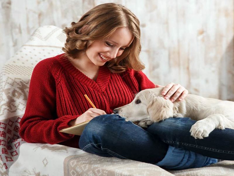 Puppy vulnerability a few things to know about your new dog social