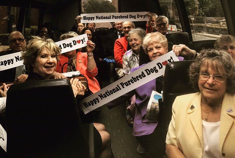 national purebred dog day bus
