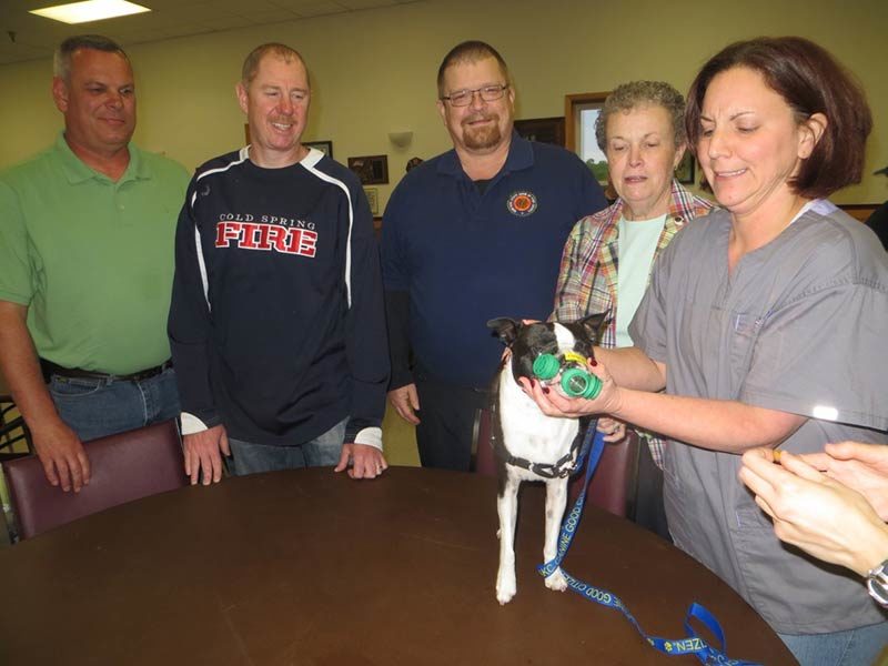 Doggie EMS